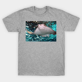 Smiling Stingray T-Shirt